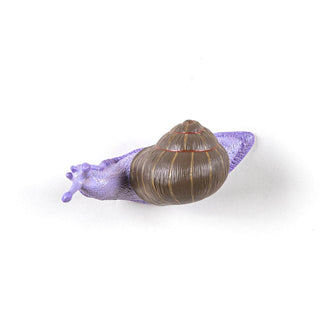Seletti Hangers Snail Slow Coloured - Buy now on ShopDecor - Discover the best products by SELETTI design
